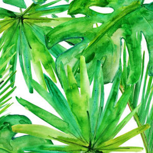 Meet your Posher, Sofia